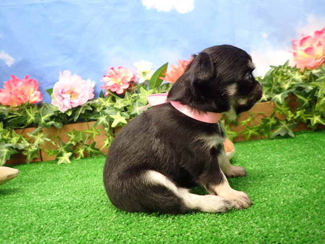 赤ちゃん写真2-2