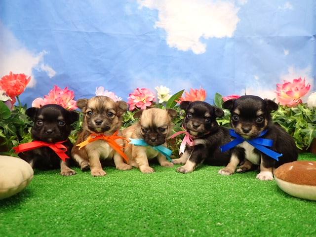 赤ちゃん写真2-3