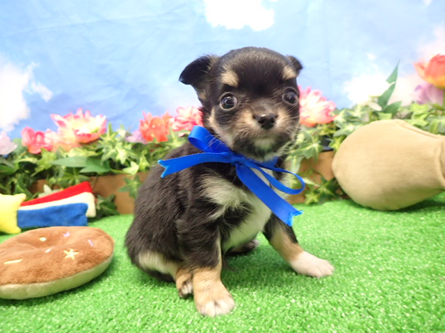 赤ちゃん写真3-1