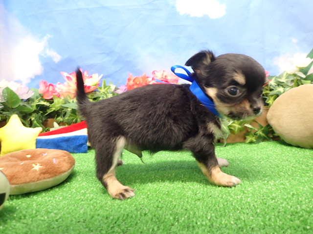 赤ちゃん写真3-2