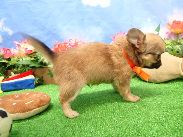 赤ちゃん写真3-2