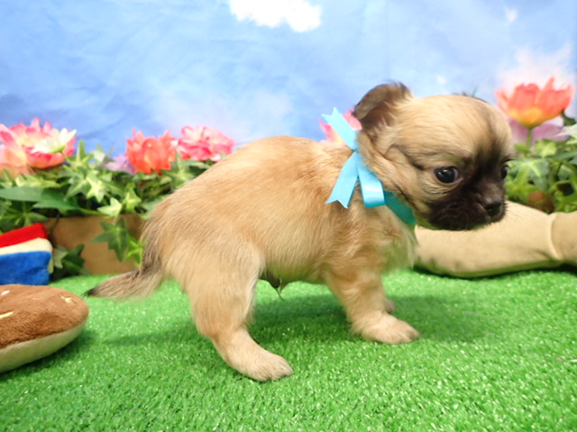 赤ちゃん写真3-2