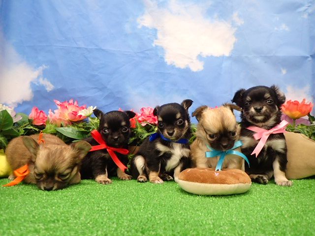 赤ちゃん写真3-3