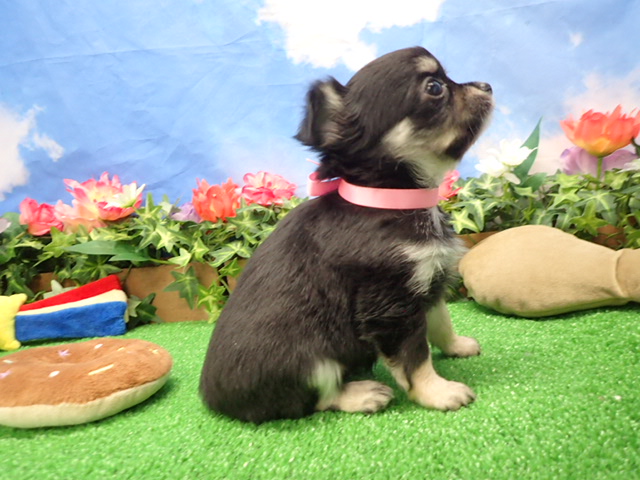 赤ちゃん写真3-2