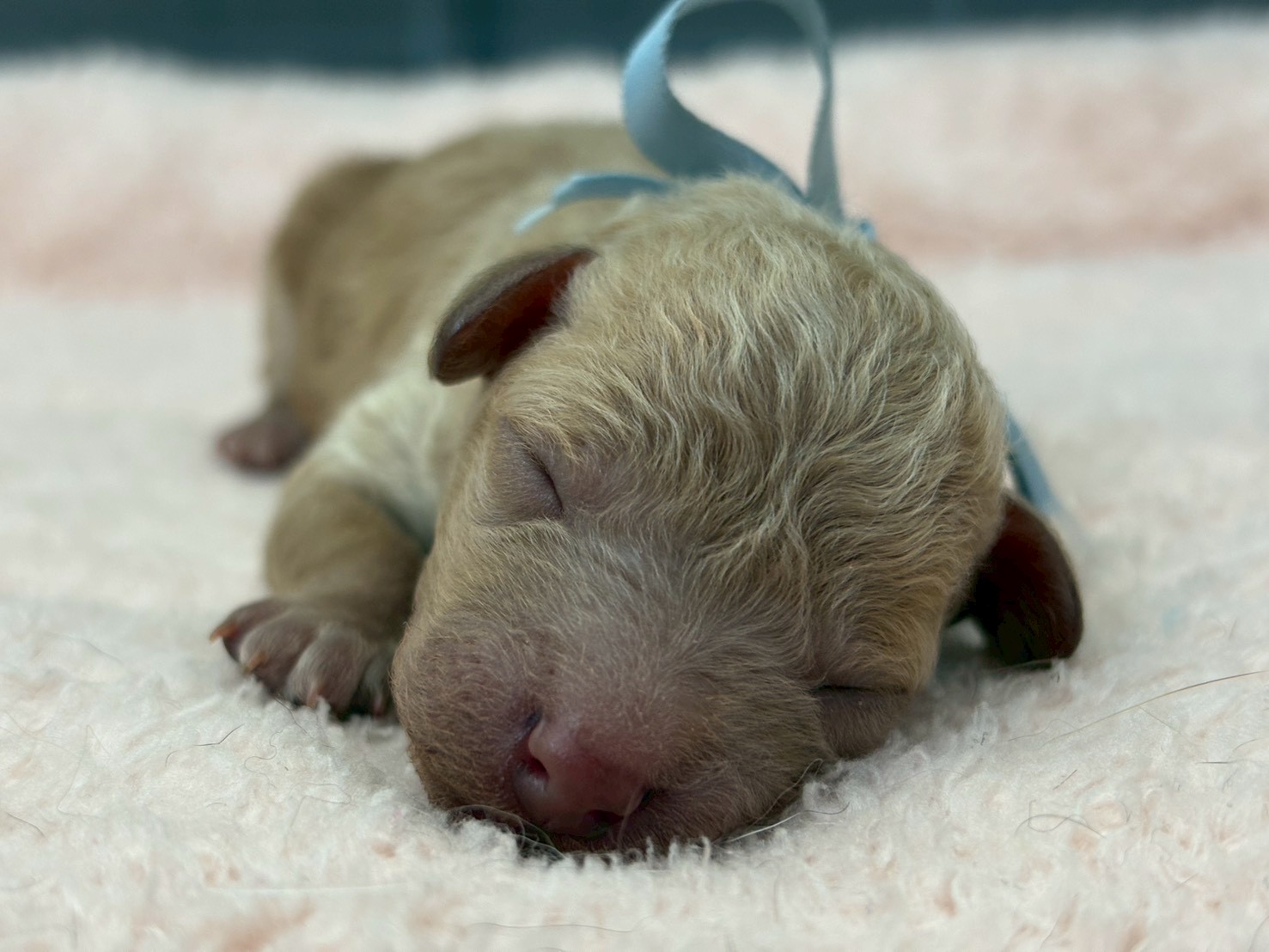 赤ちゃん写真1-1