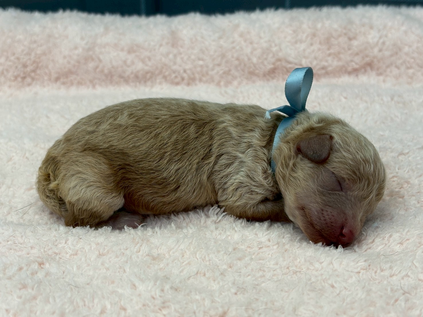 赤ちゃん写真1-2