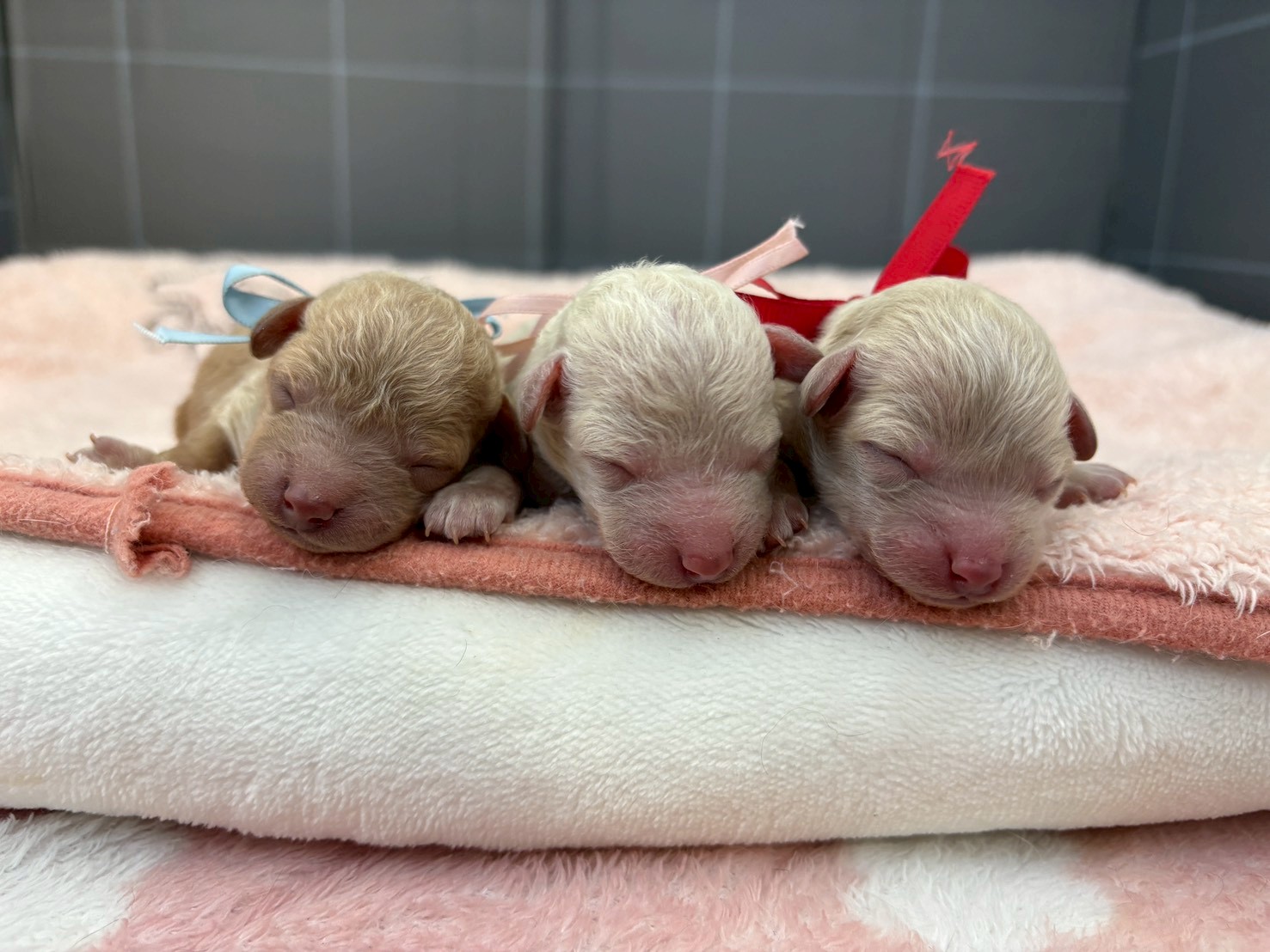 赤ちゃん写真1-3