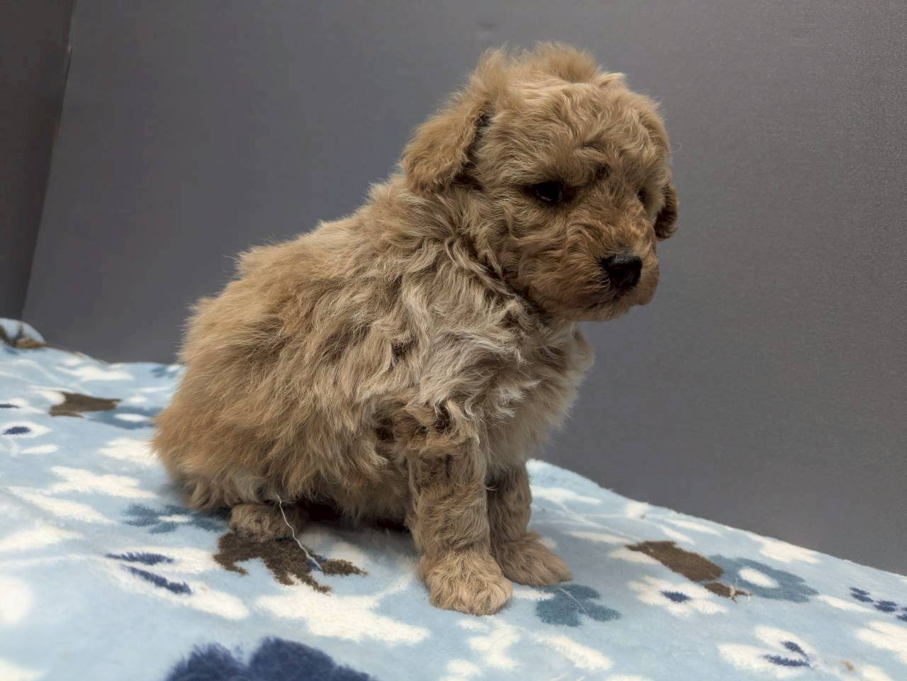 赤ちゃん写真2-2