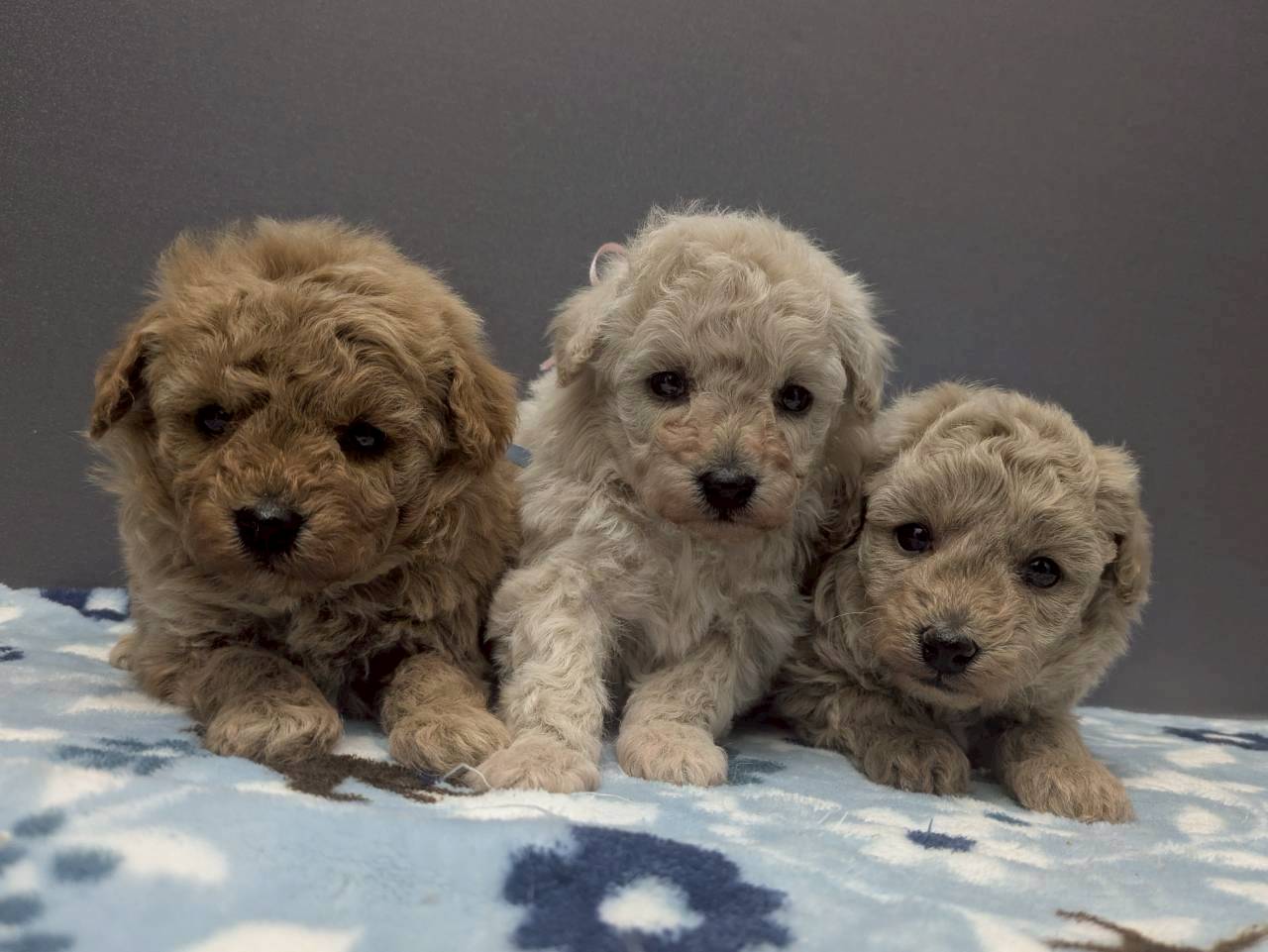 赤ちゃん写真2-3