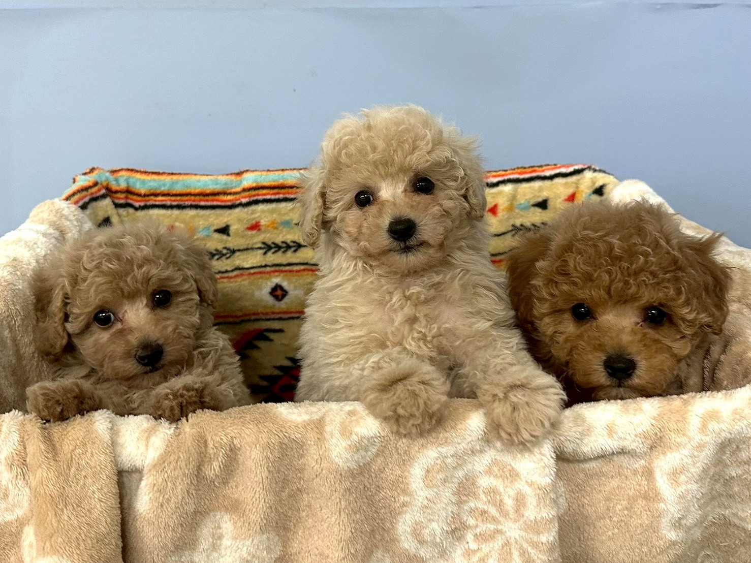 赤ちゃん写真3-3