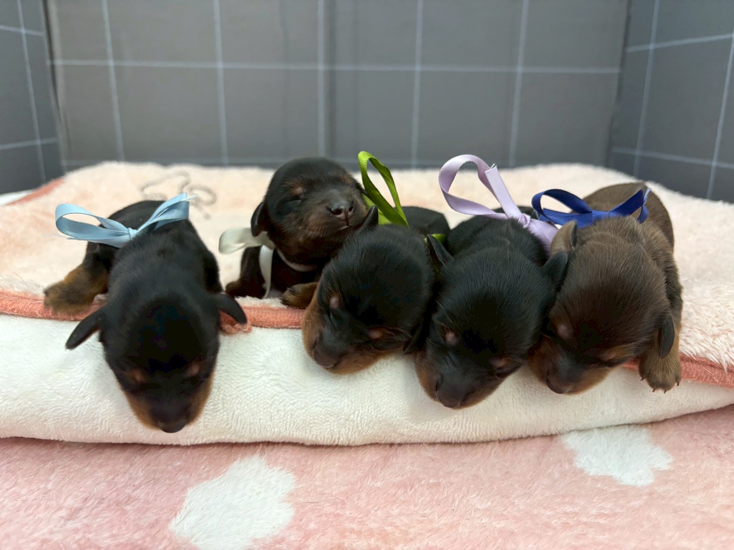 赤ちゃん写真1-3
