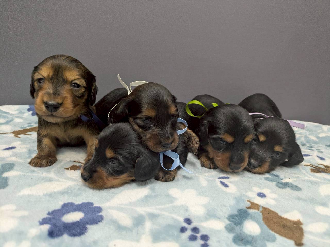 赤ちゃん写真2-3