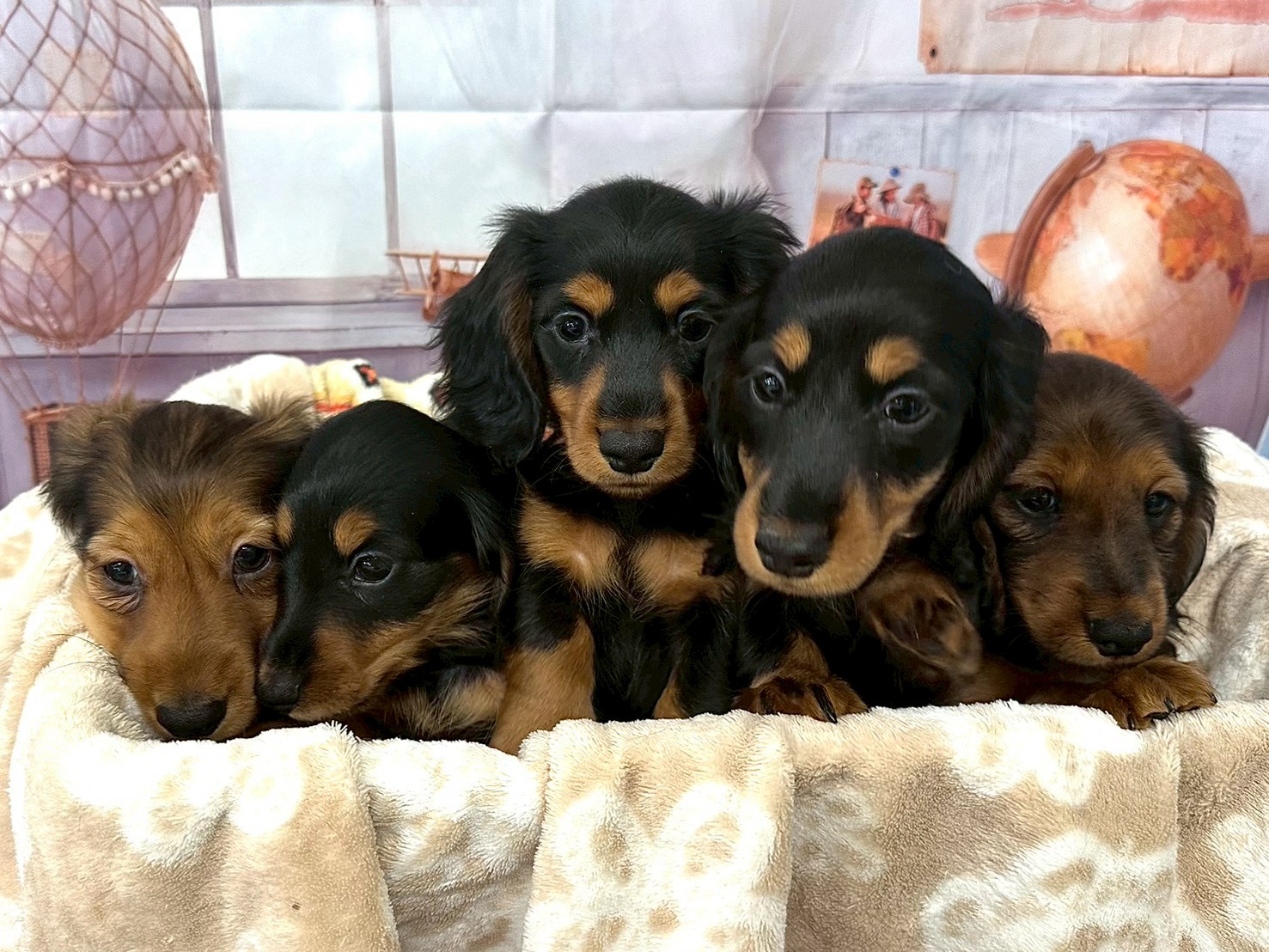 赤ちゃん写真3-3