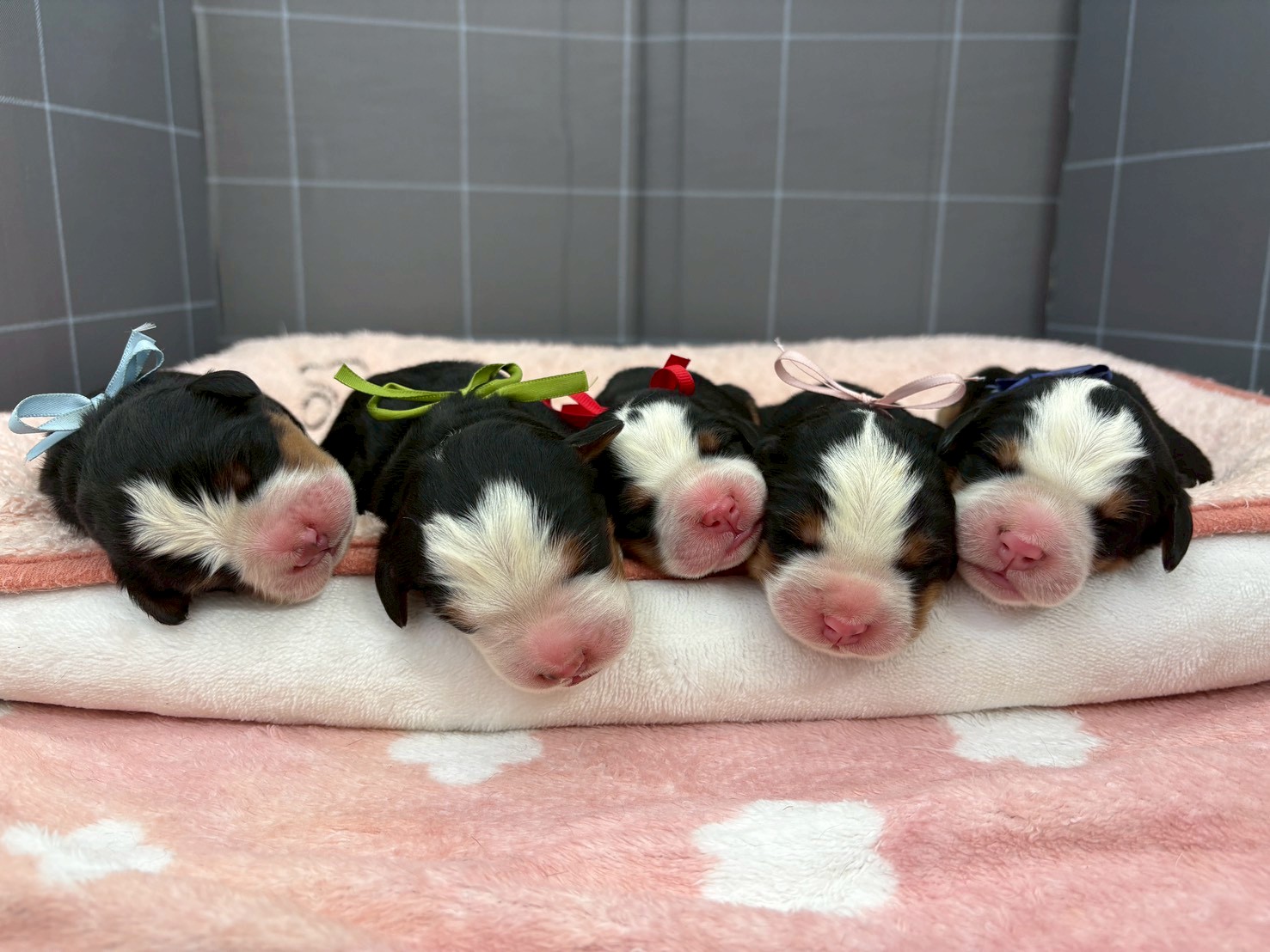 赤ちゃん写真1-3