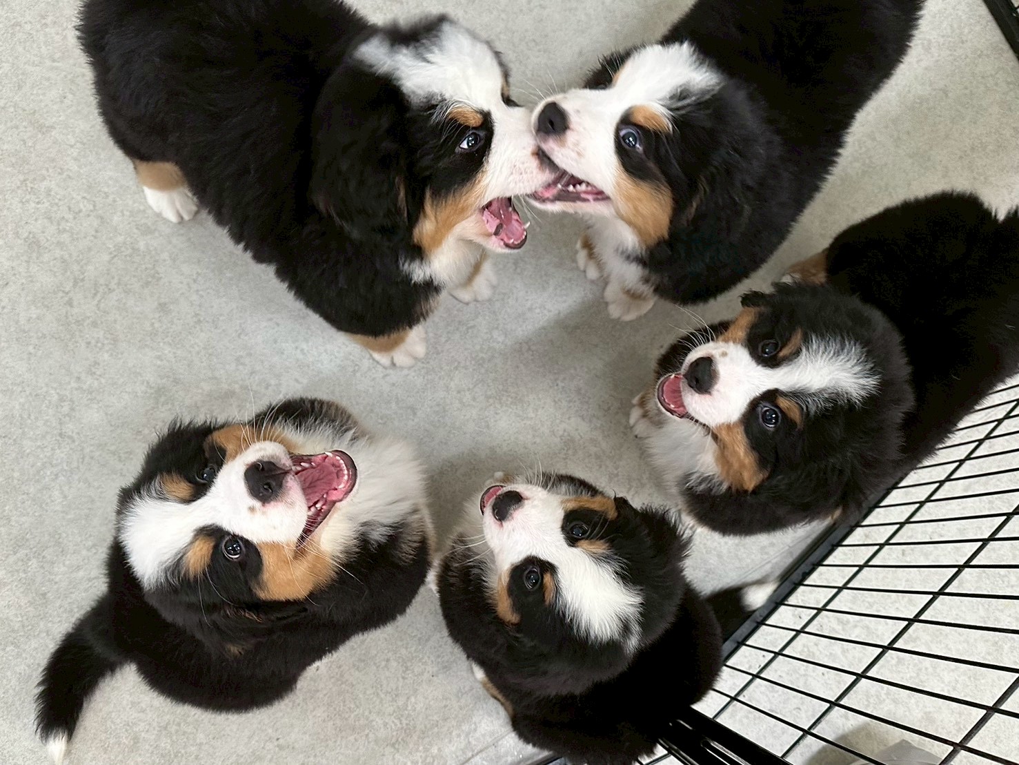 赤ちゃん写真3-3