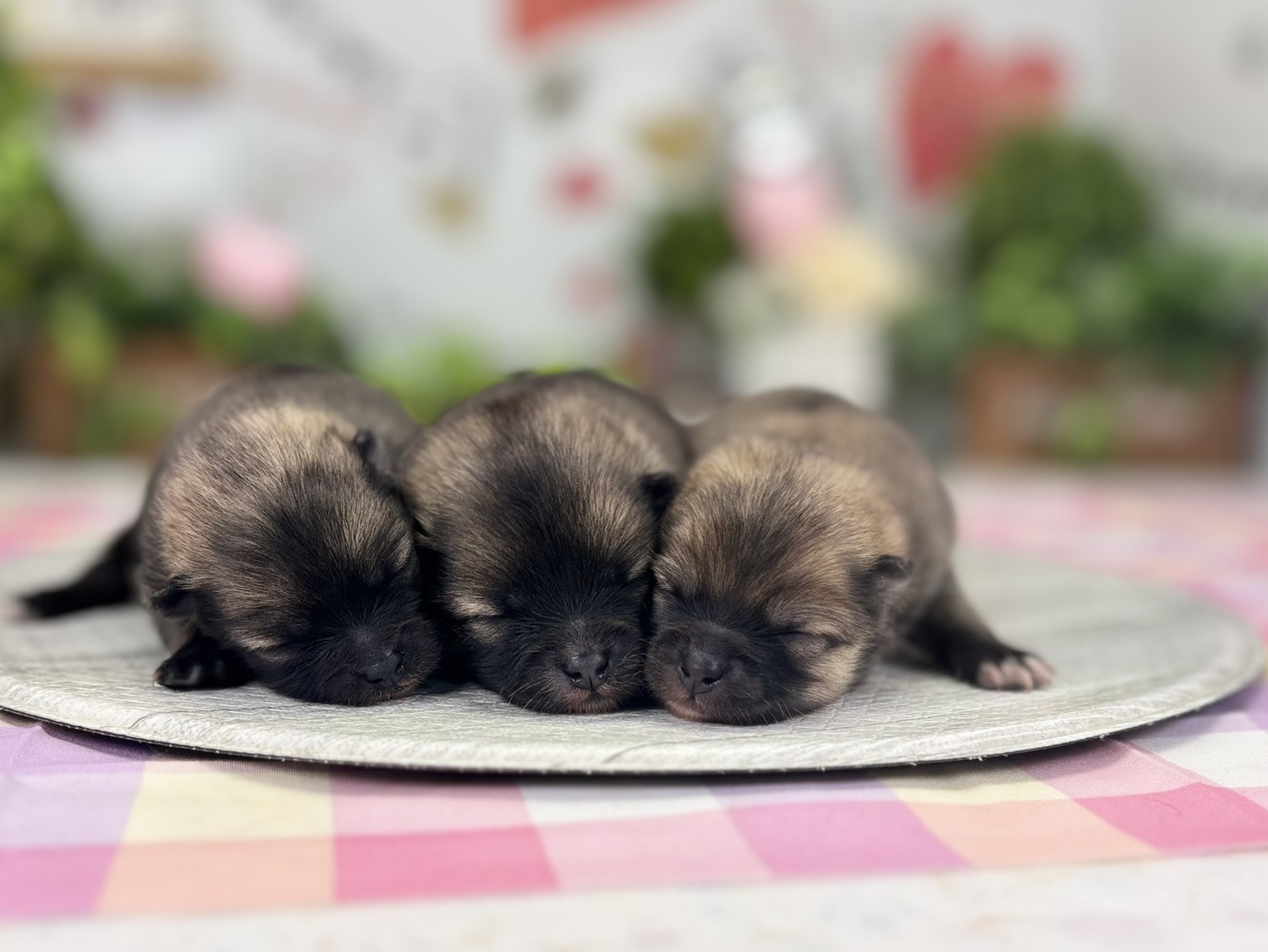 赤ちゃん写真1-3