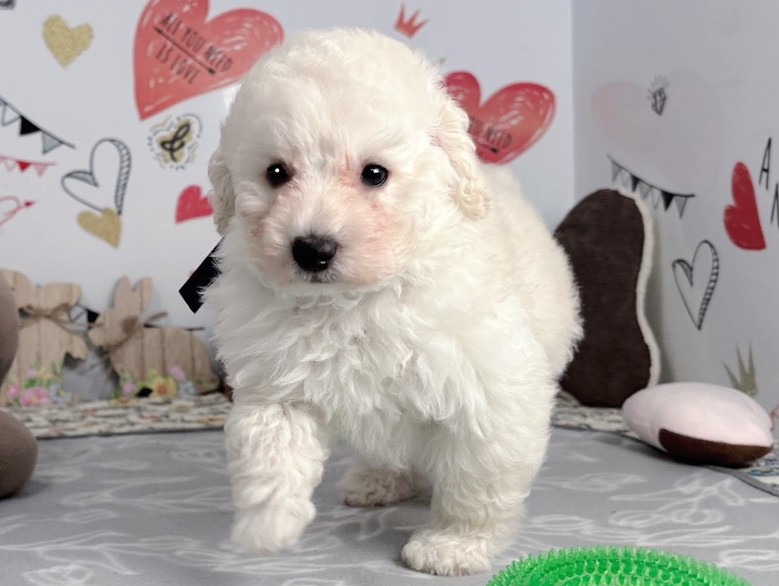 赤ちゃん写真2-1