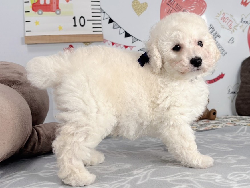 赤ちゃん写真2-2