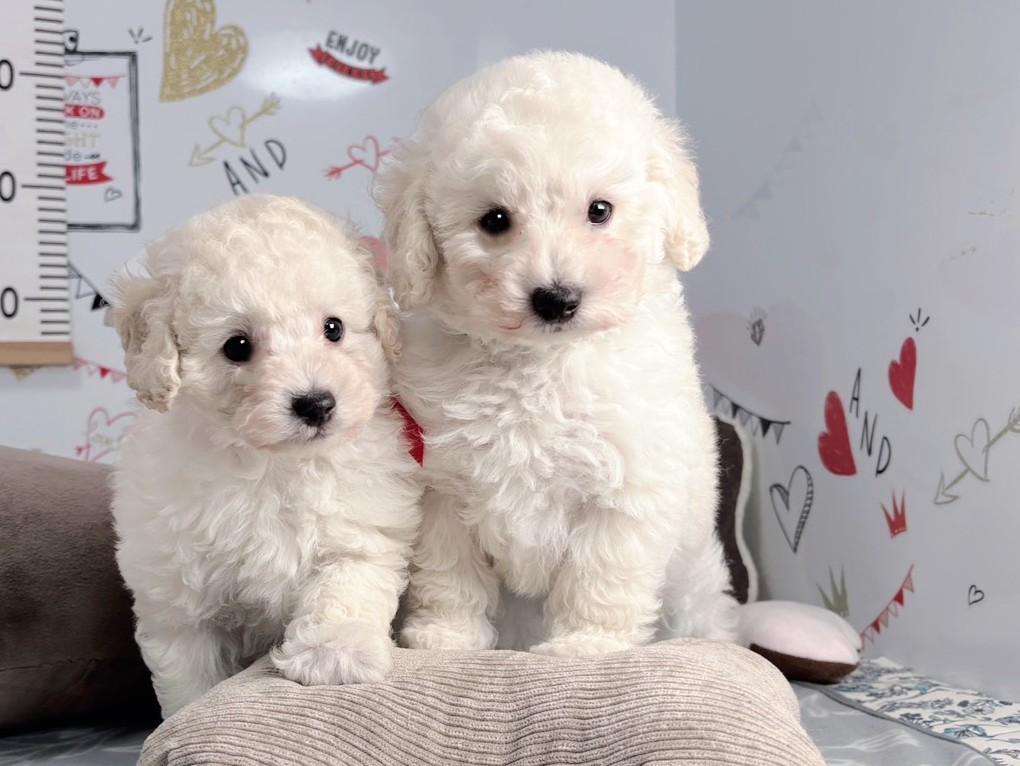 赤ちゃん写真2-3