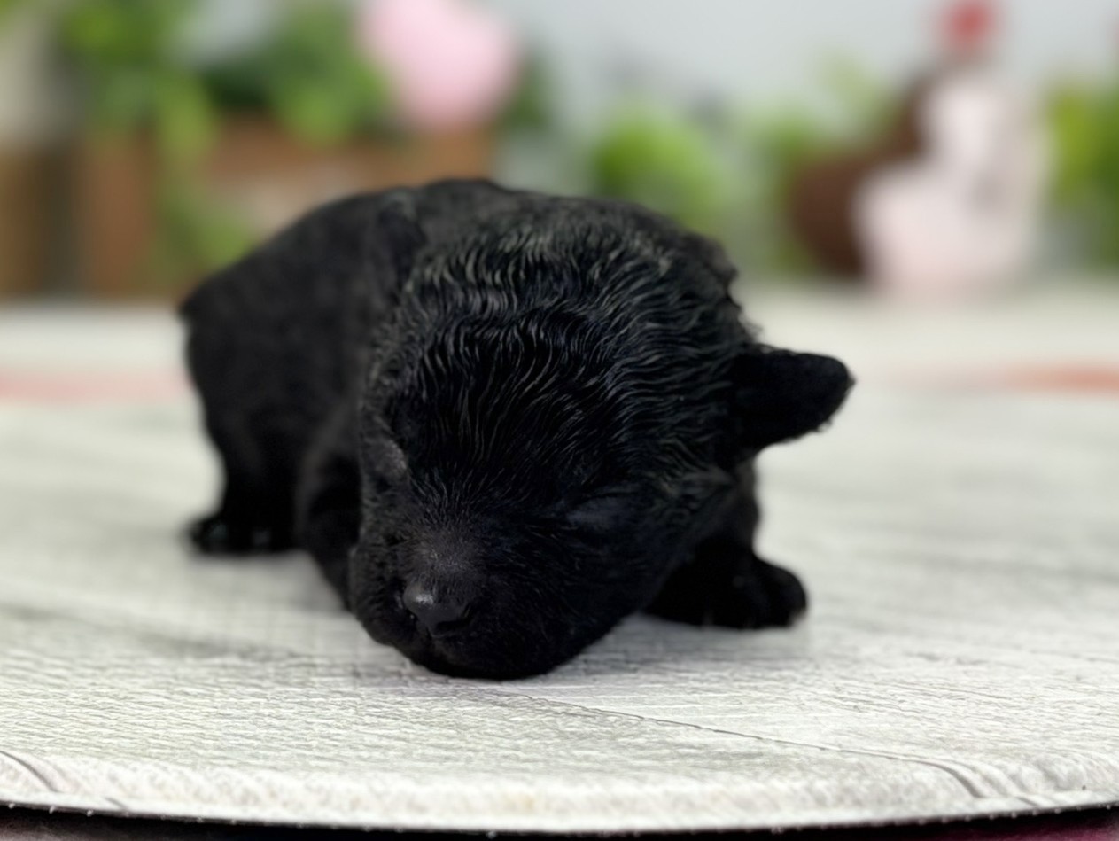 赤ちゃん写真1-1