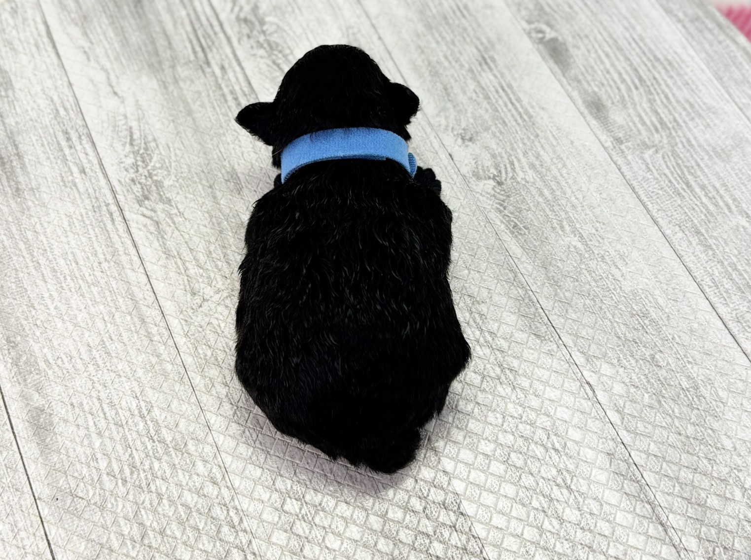 赤ちゃん写真1-3