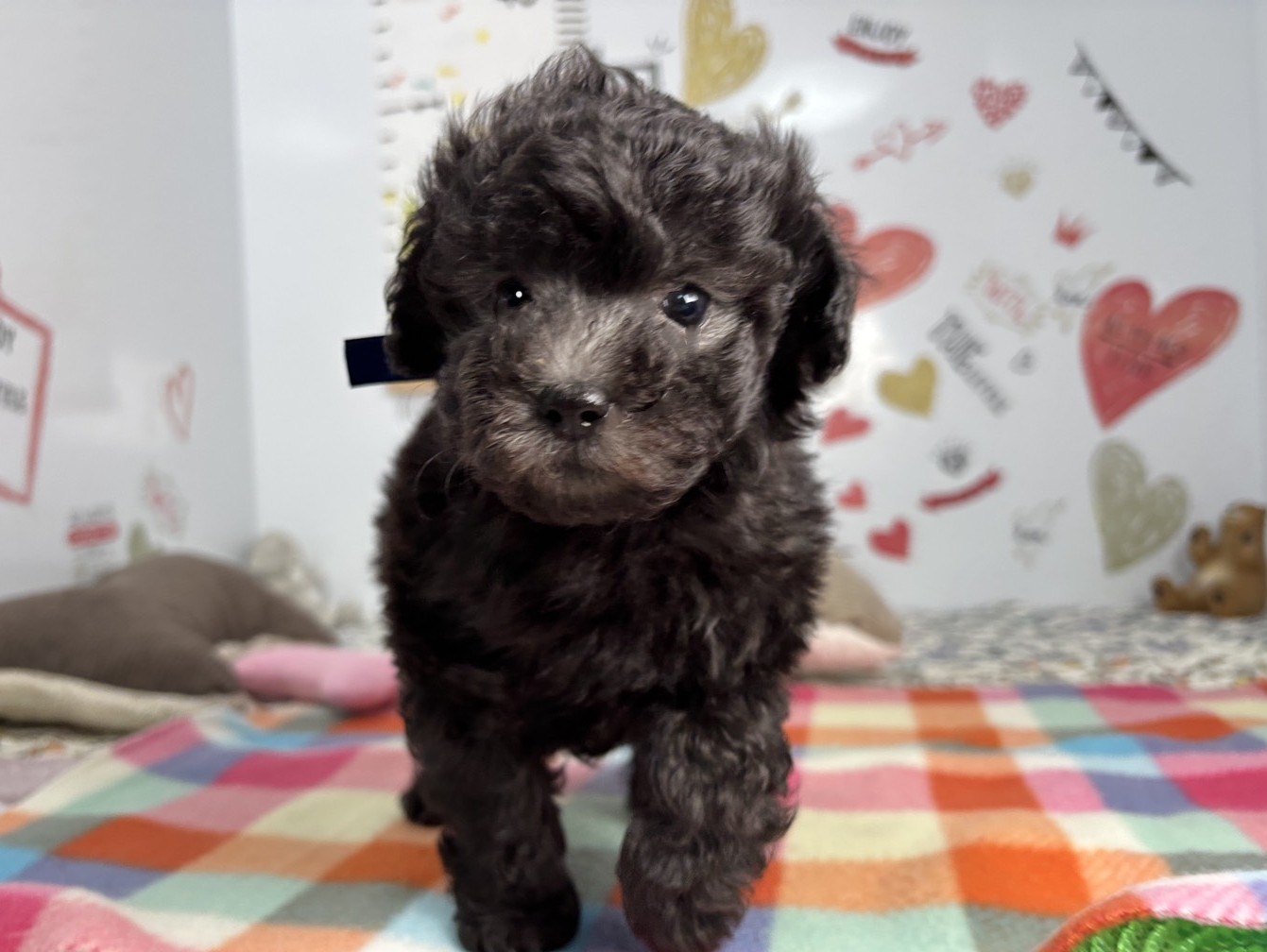 赤ちゃん写真2-1