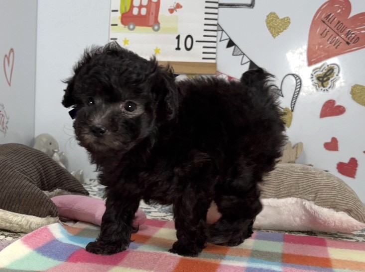 赤ちゃん写真2-2