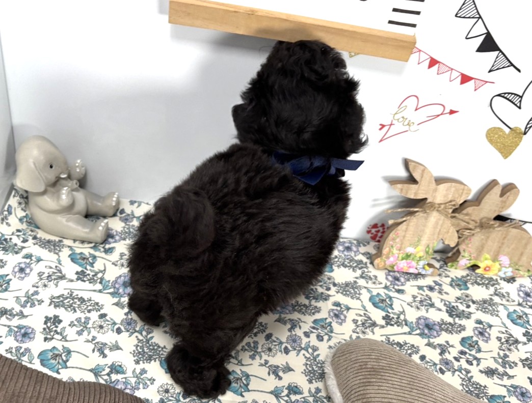 赤ちゃん写真2-3