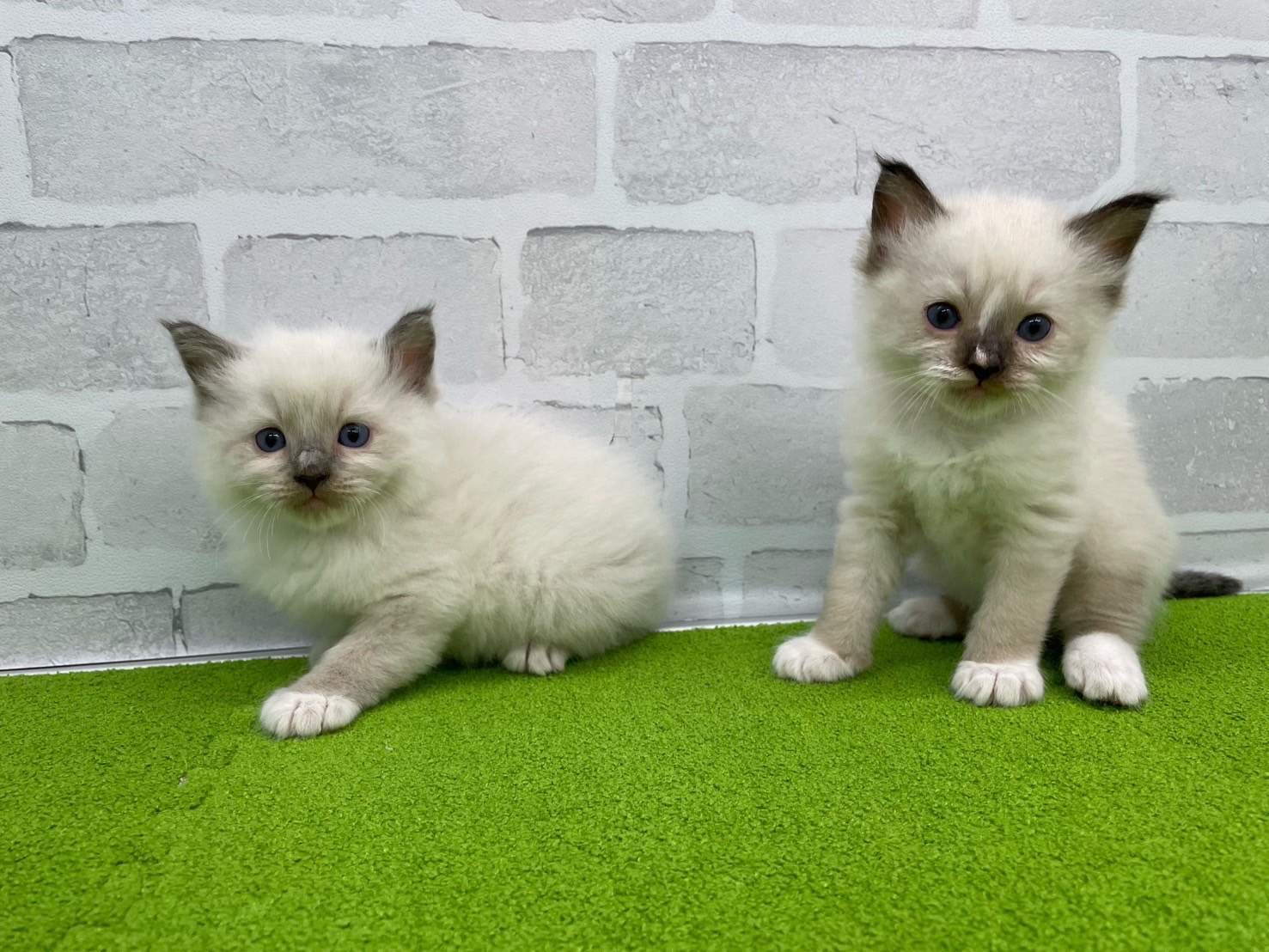 赤ちゃん写真2-3