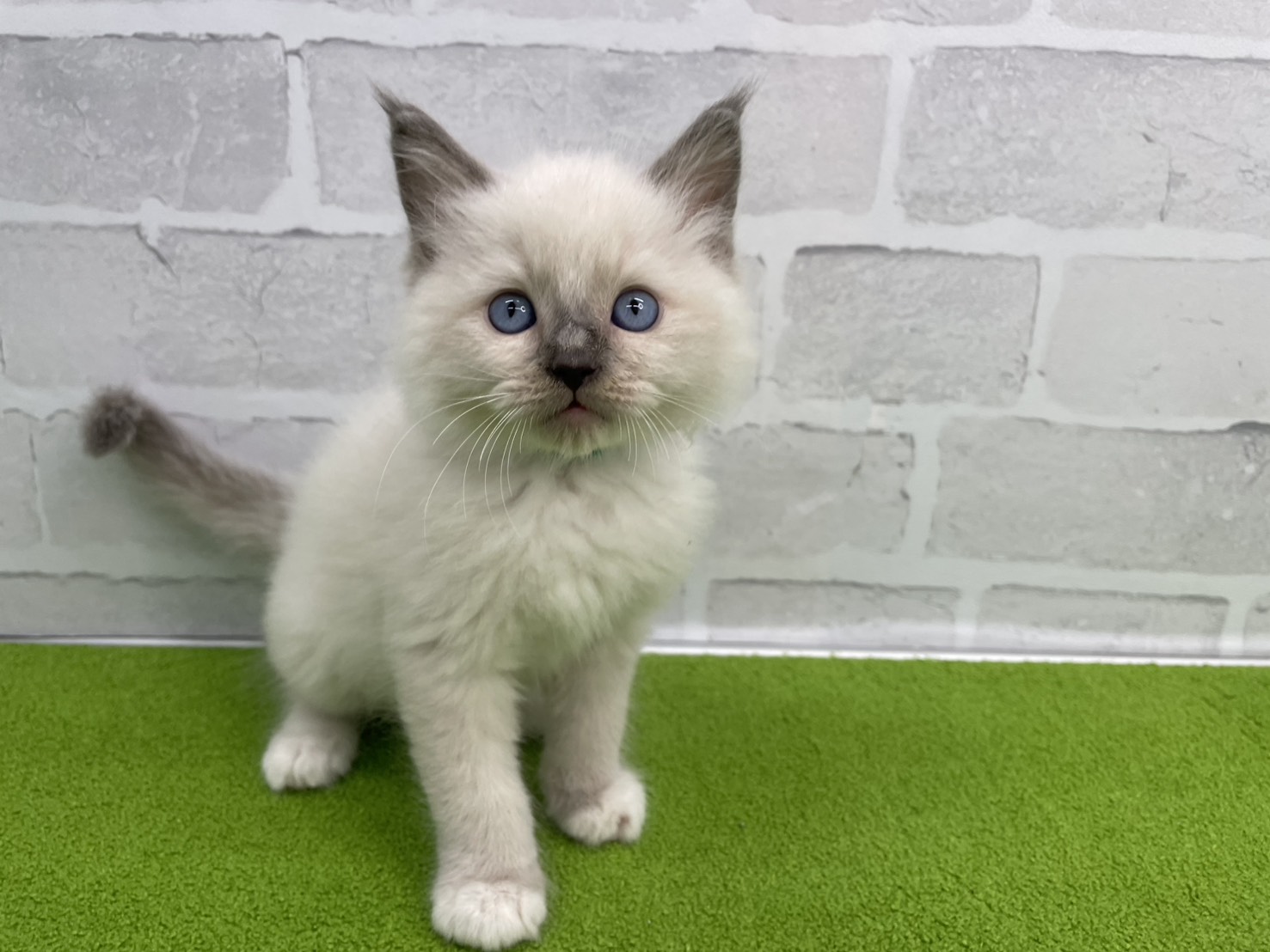 赤ちゃん写真3-1