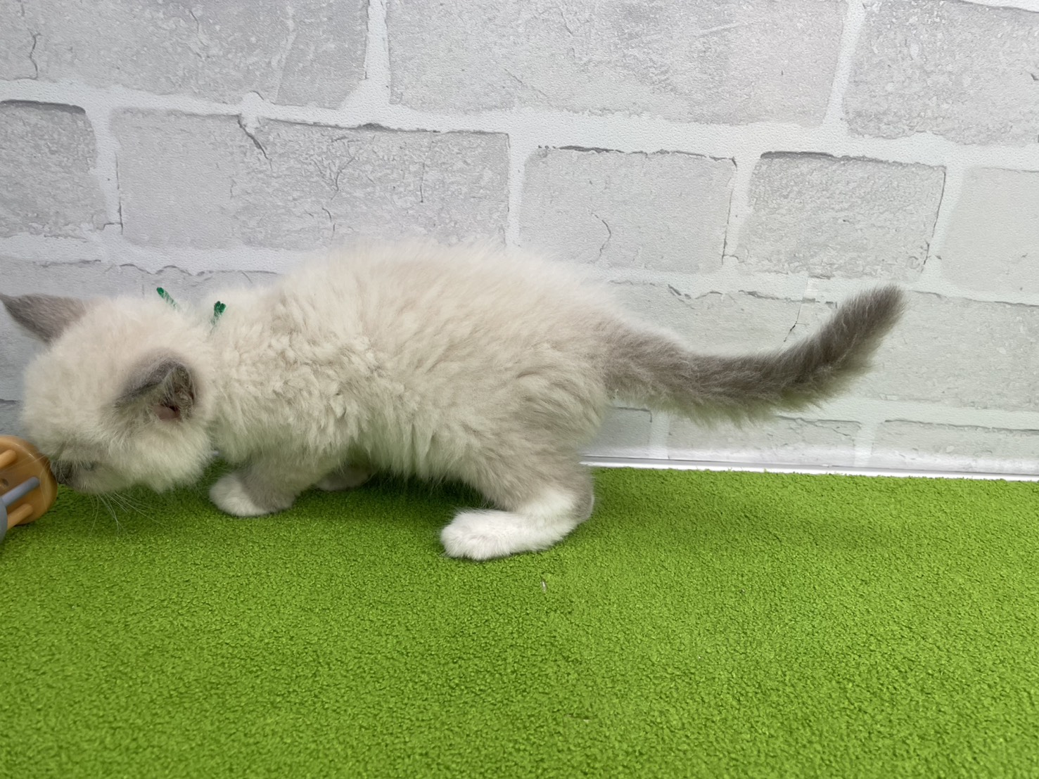 赤ちゃん写真3-2