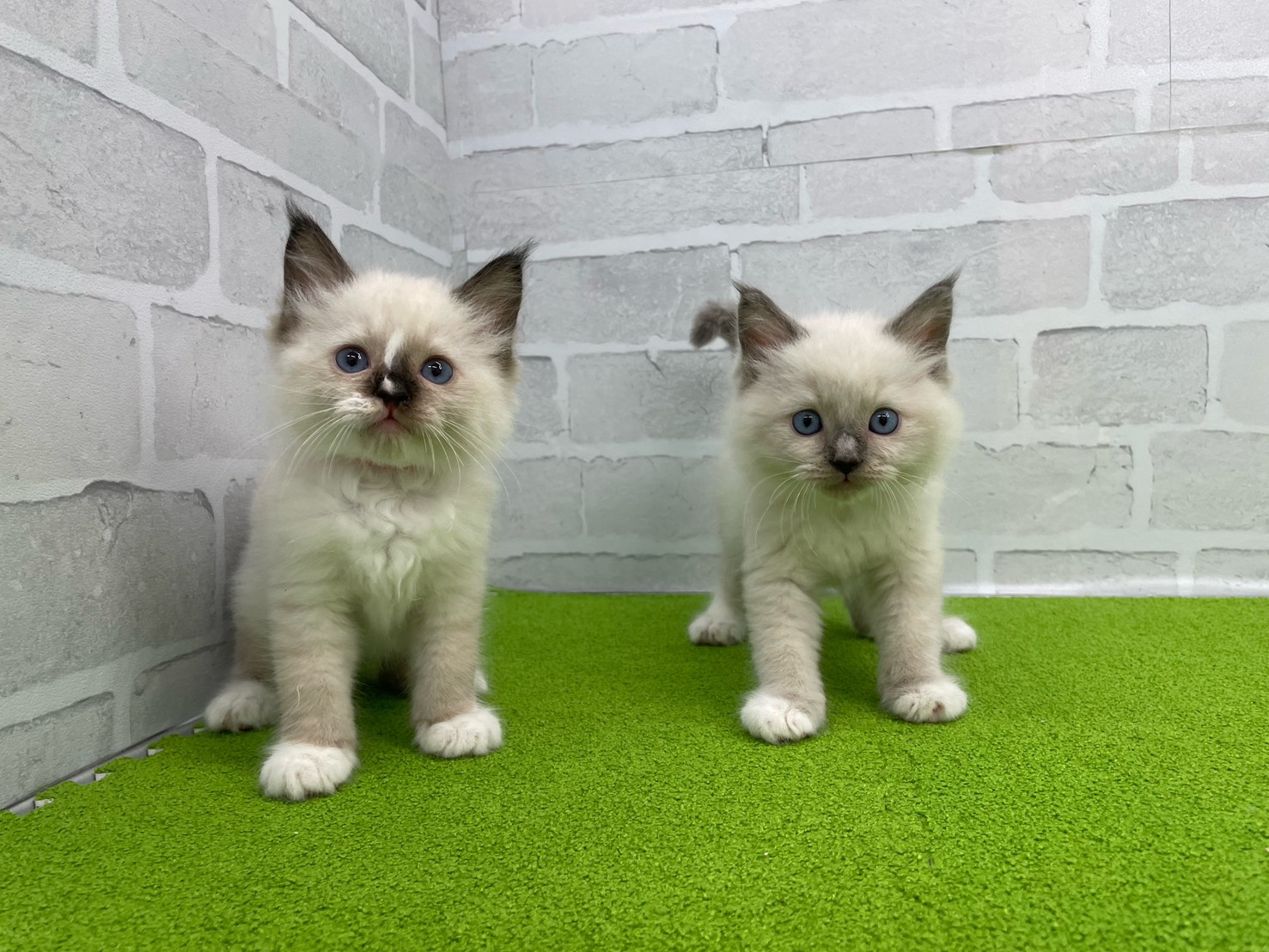 赤ちゃん写真3-3