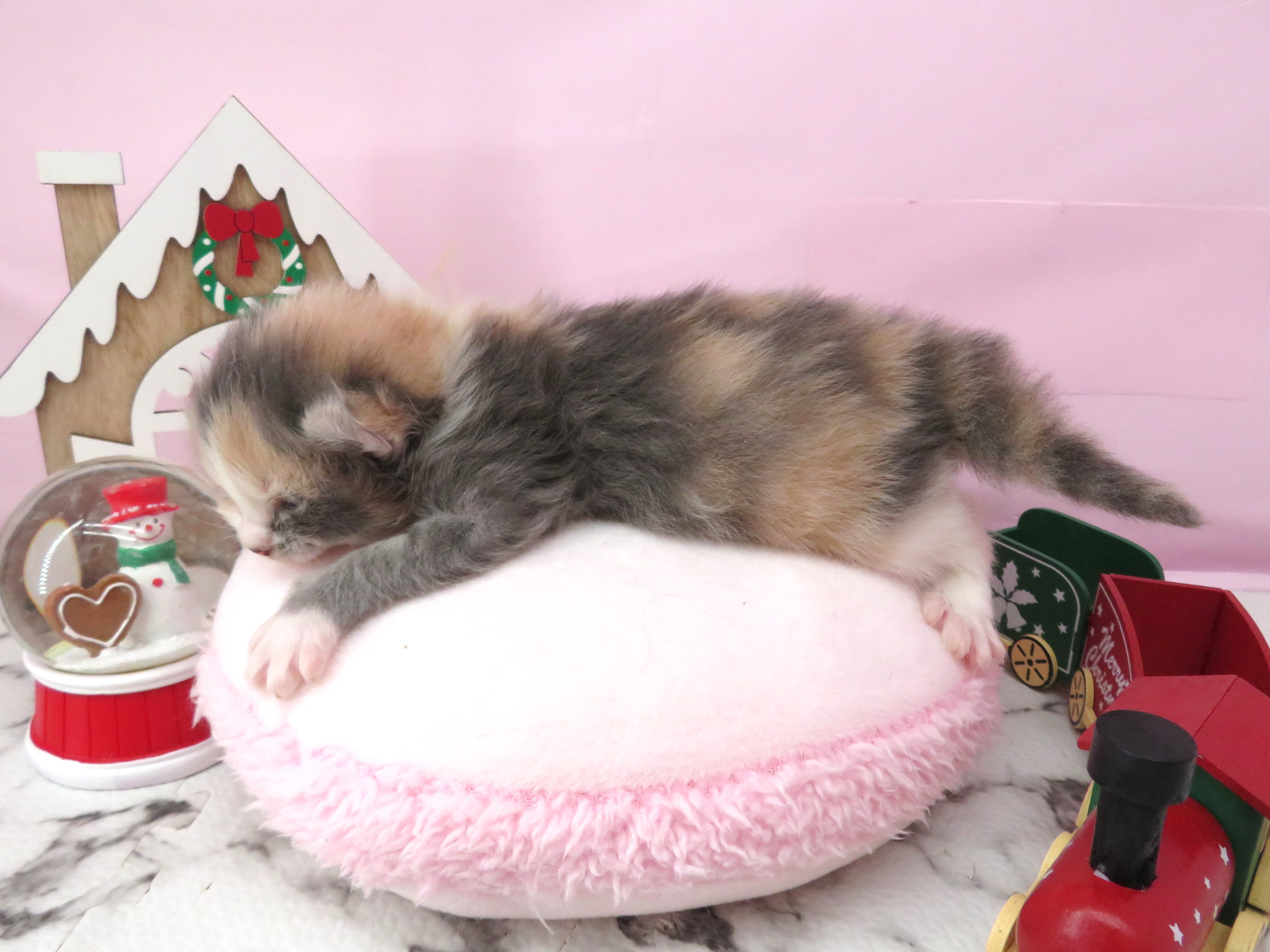 赤ちゃん写真1-2