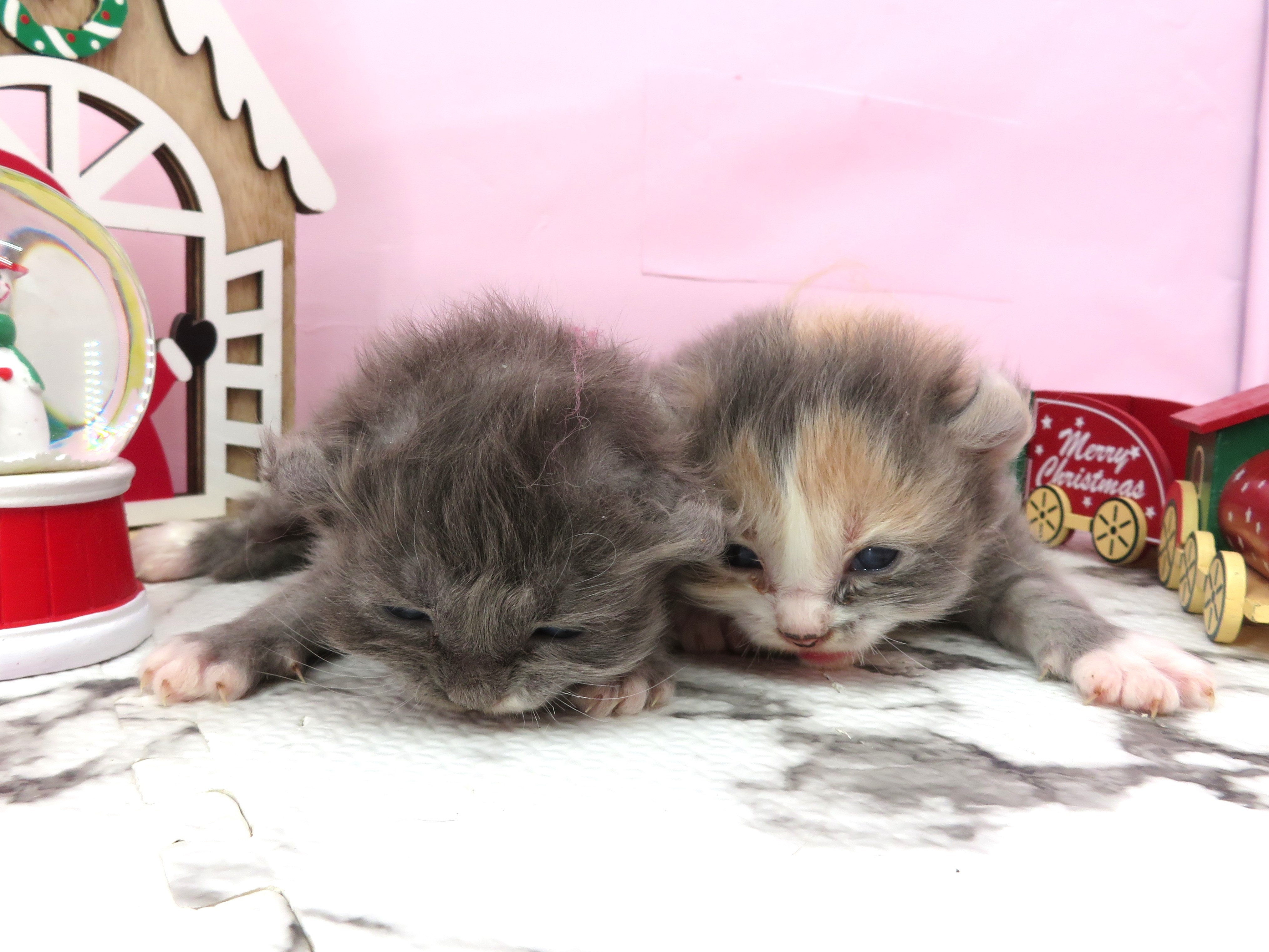 赤ちゃん写真1-3