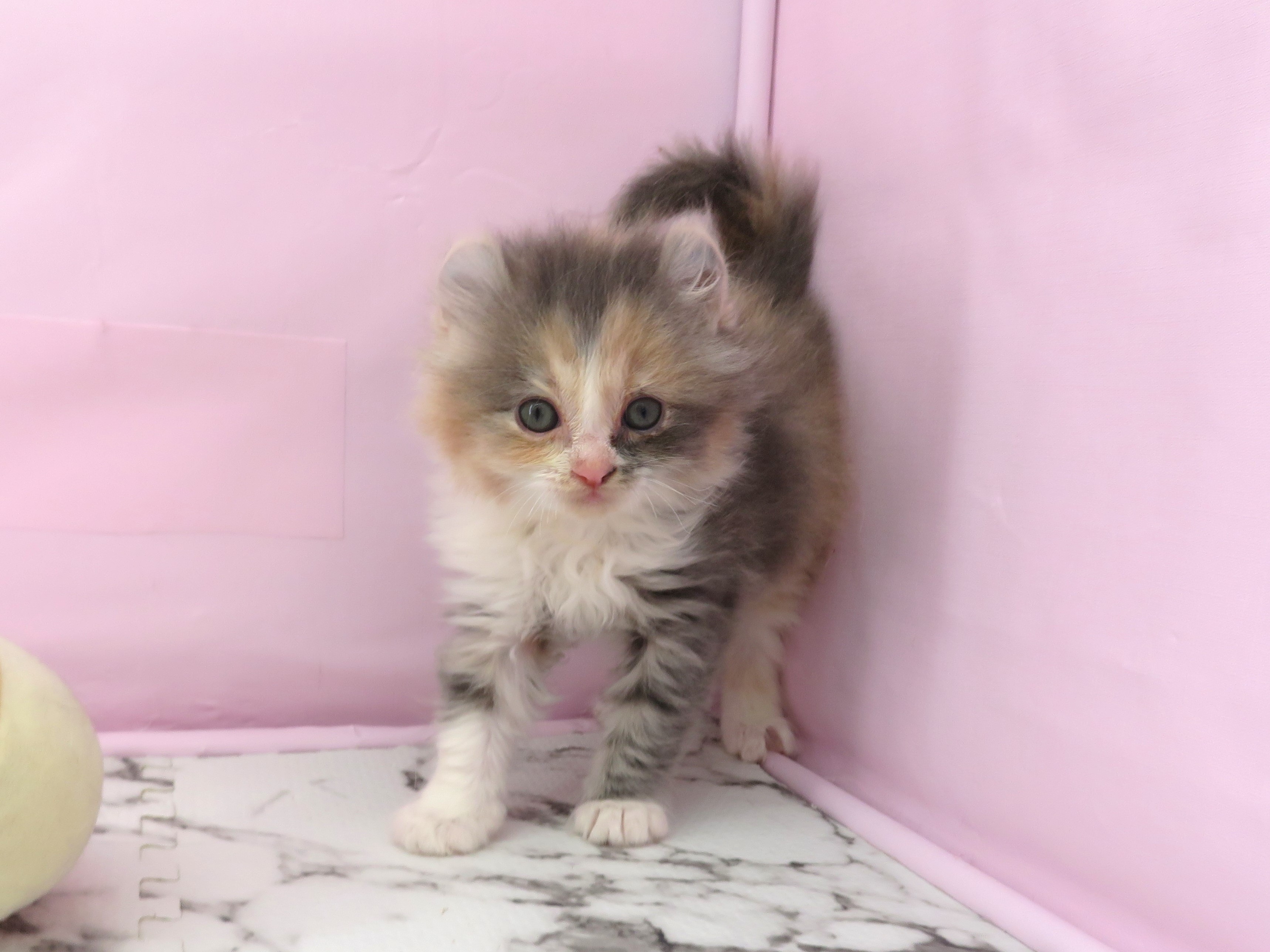 赤ちゃん写真2-1