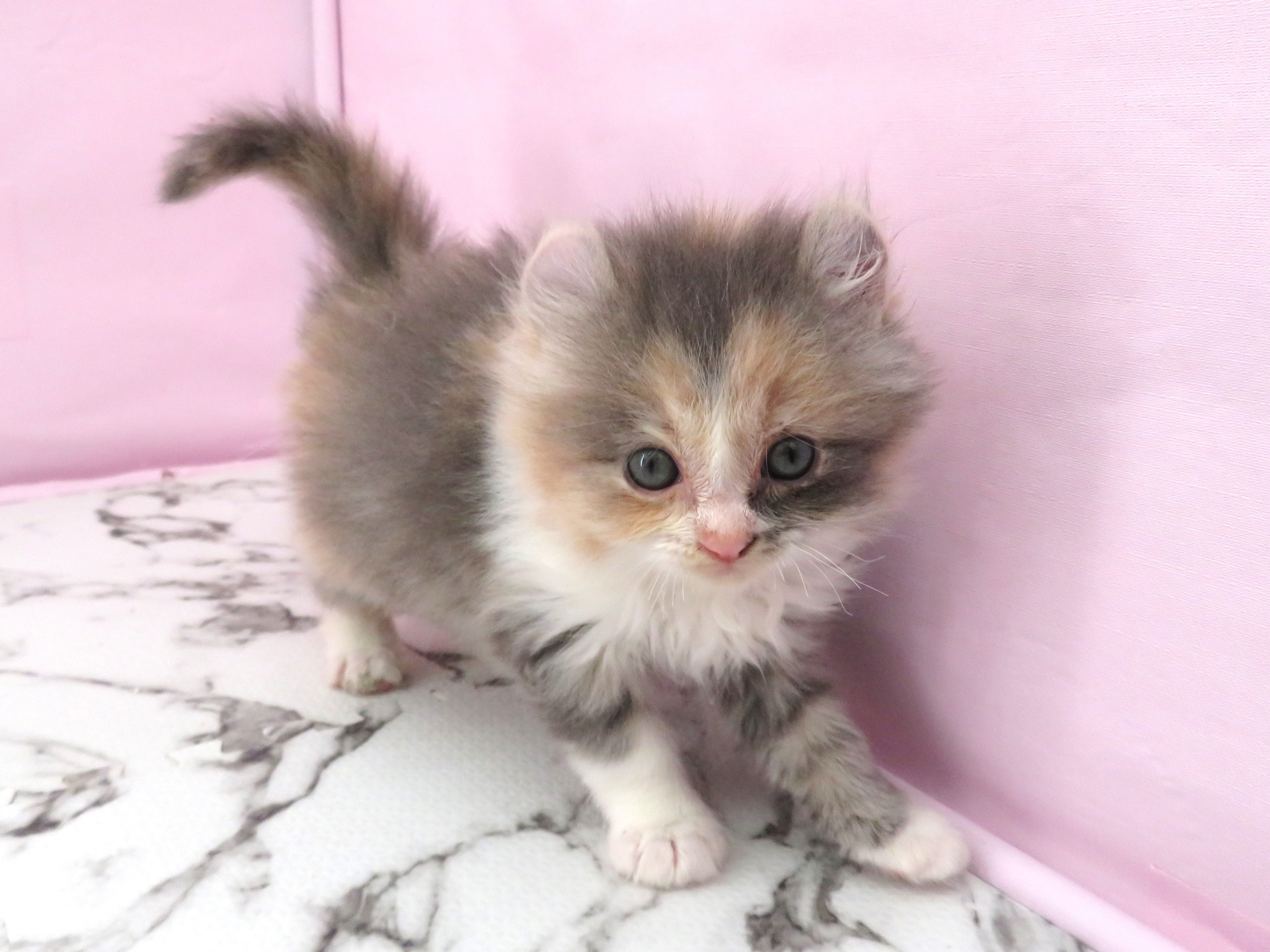 赤ちゃん写真2-2