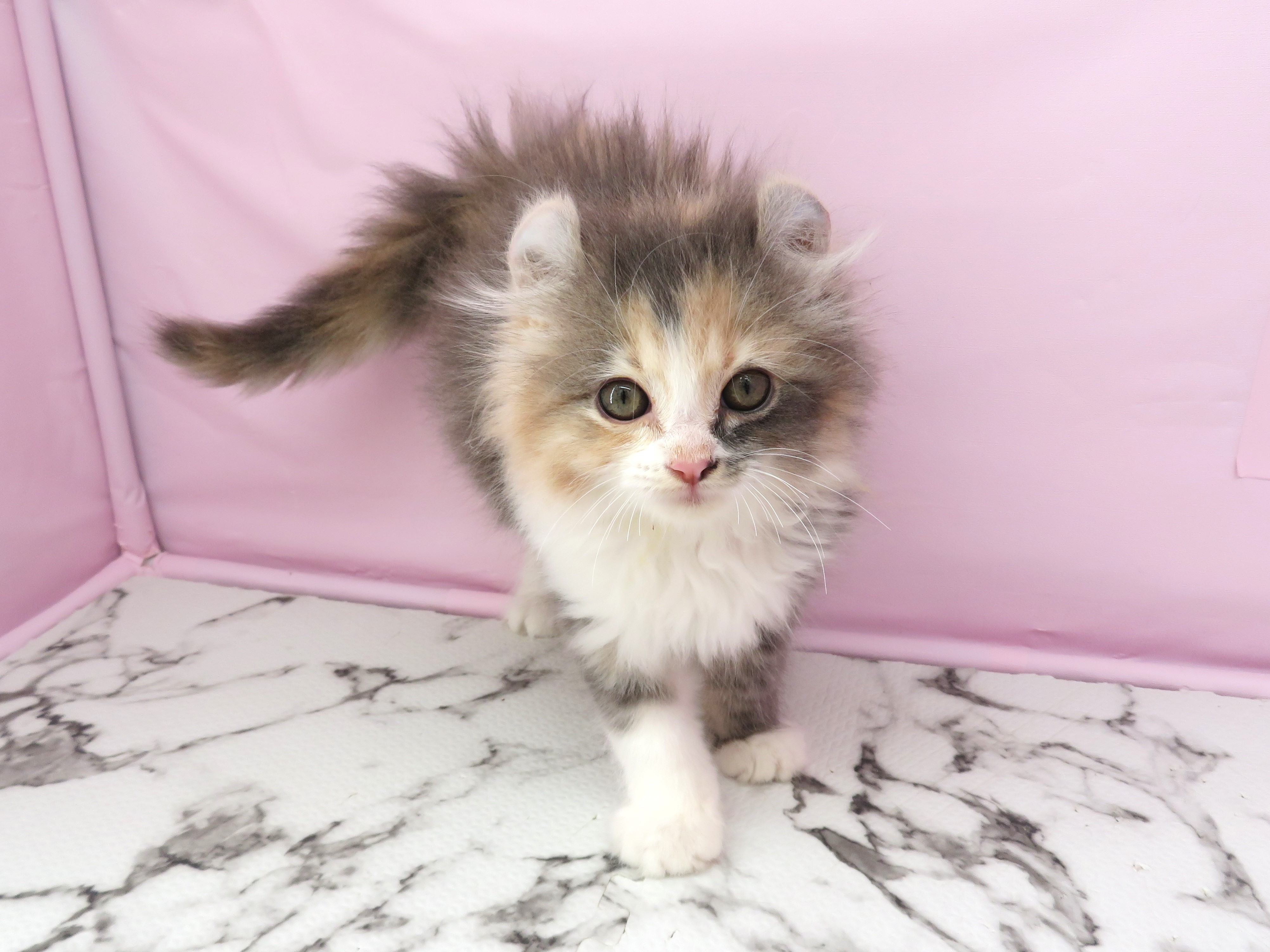 赤ちゃん写真3-1