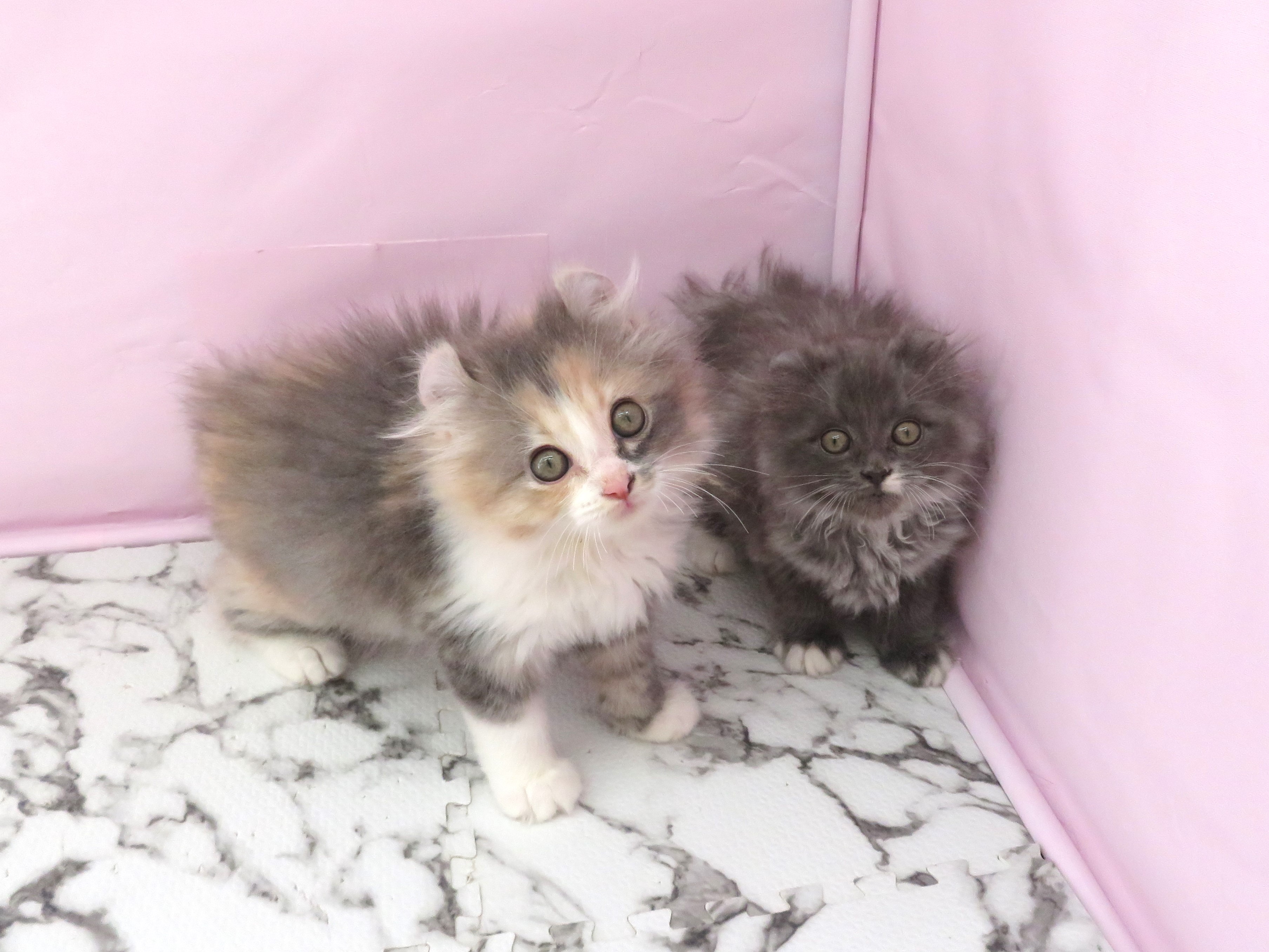 赤ちゃん写真3-3