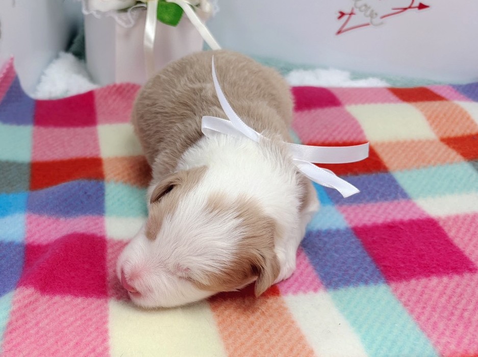 赤ちゃん写真1-1