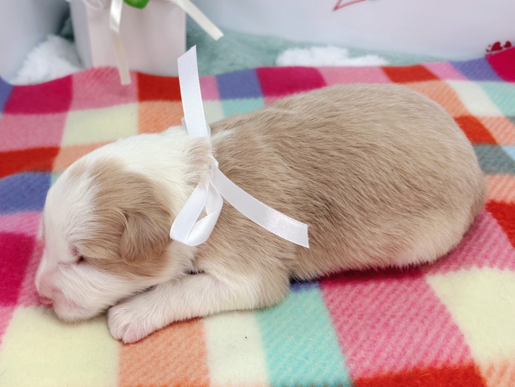 赤ちゃん写真1-2