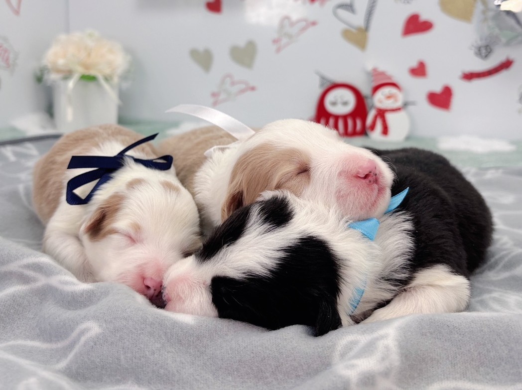 赤ちゃん写真1-3