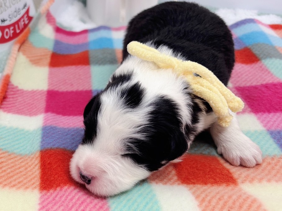 赤ちゃん写真1-1