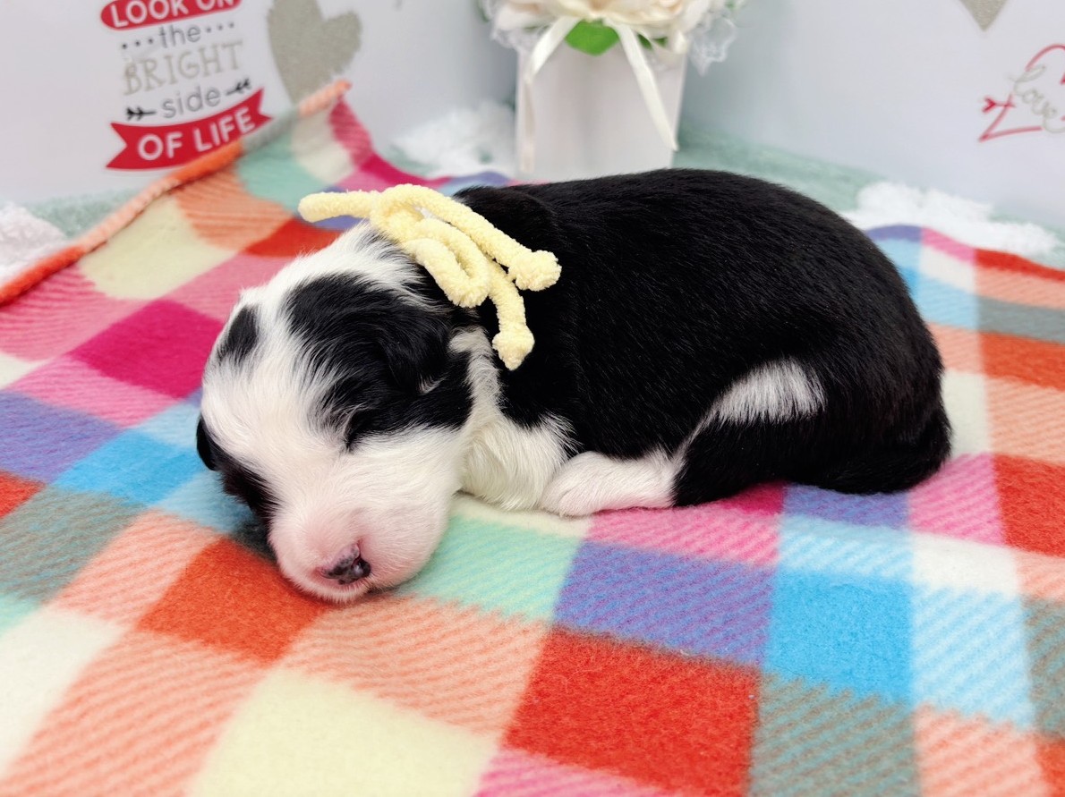 赤ちゃん写真1-2