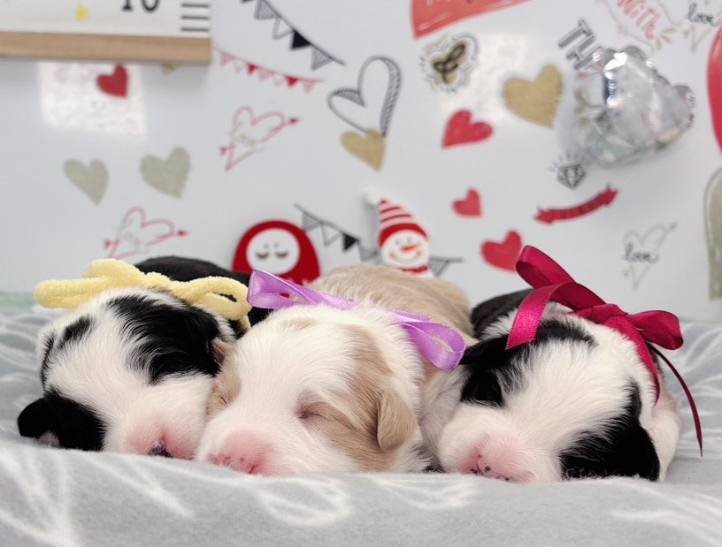 赤ちゃん写真1-3