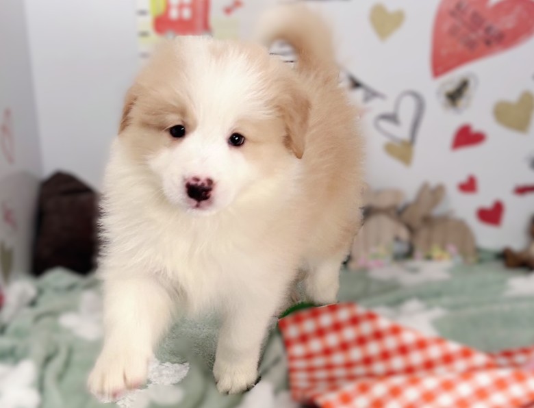 赤ちゃん写真2-1