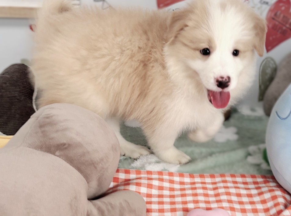 赤ちゃん写真2-2