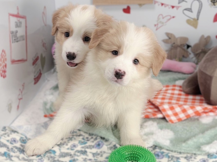 赤ちゃん写真2-3