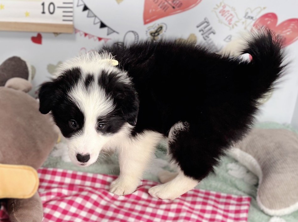 赤ちゃん写真2-2