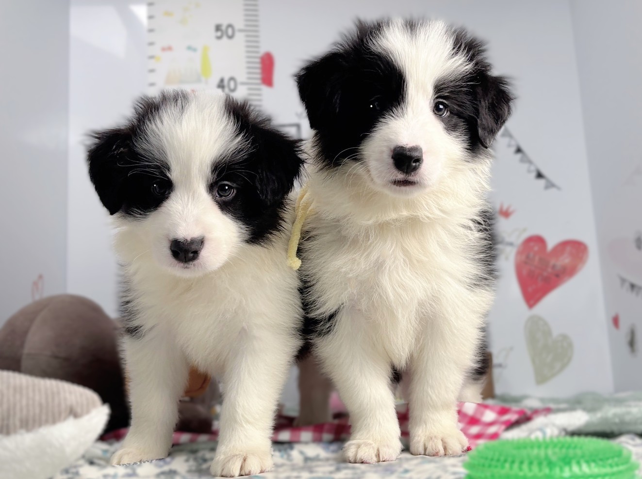 赤ちゃん写真2-3