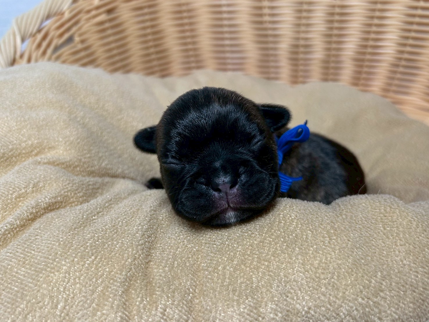 赤ちゃん写真1-1